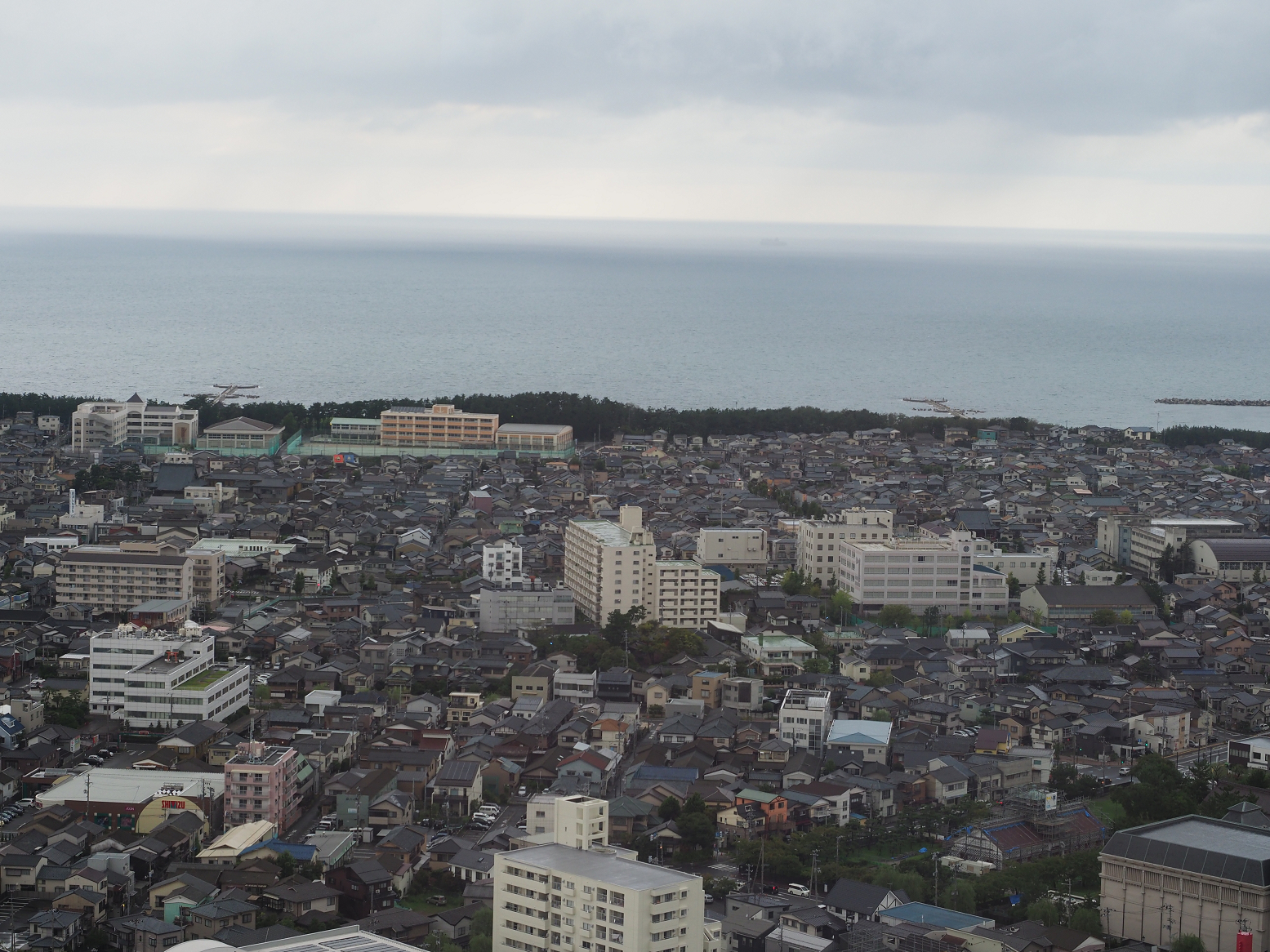 P9170426.jpg