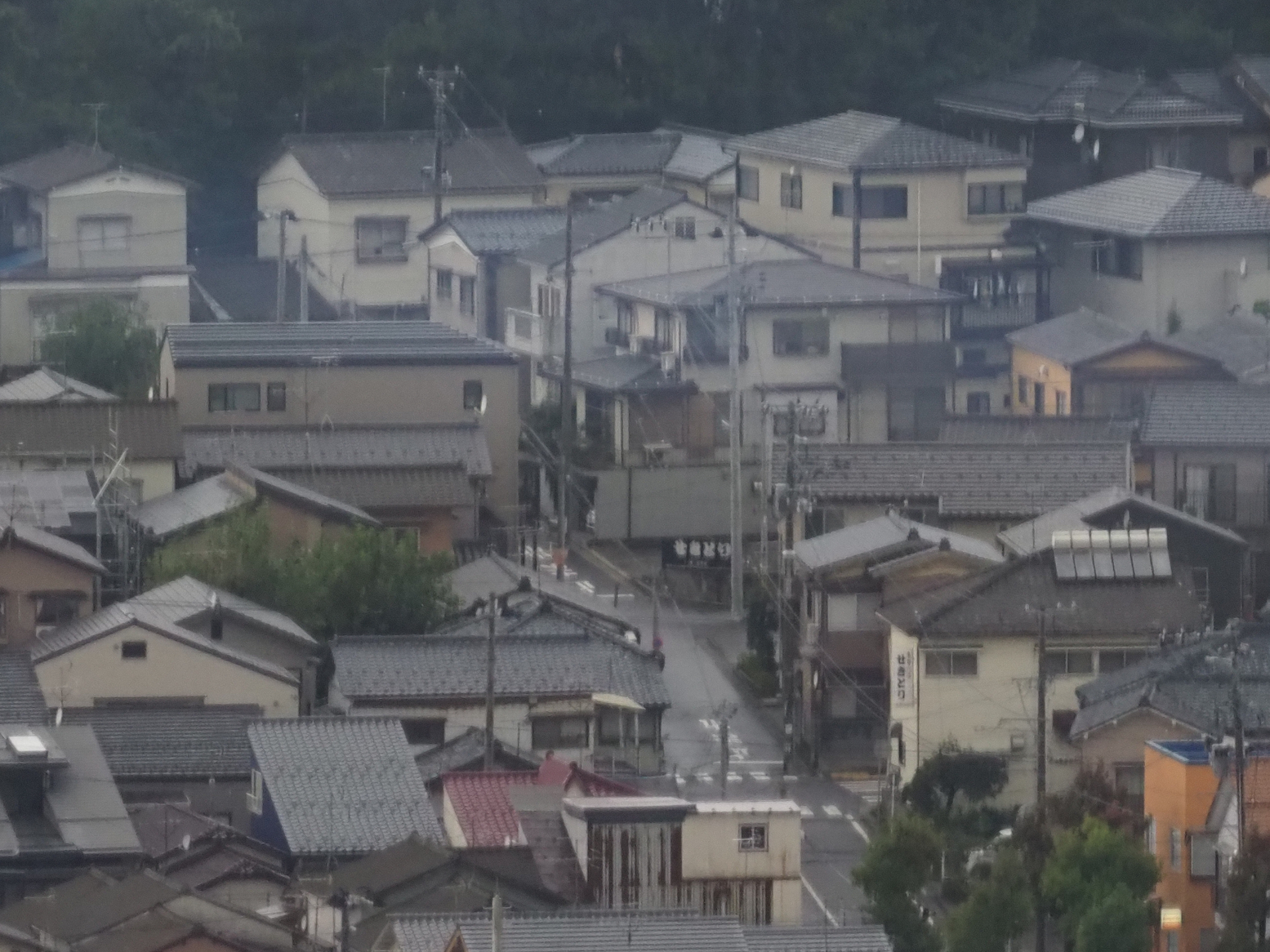 P9170436.jpg
