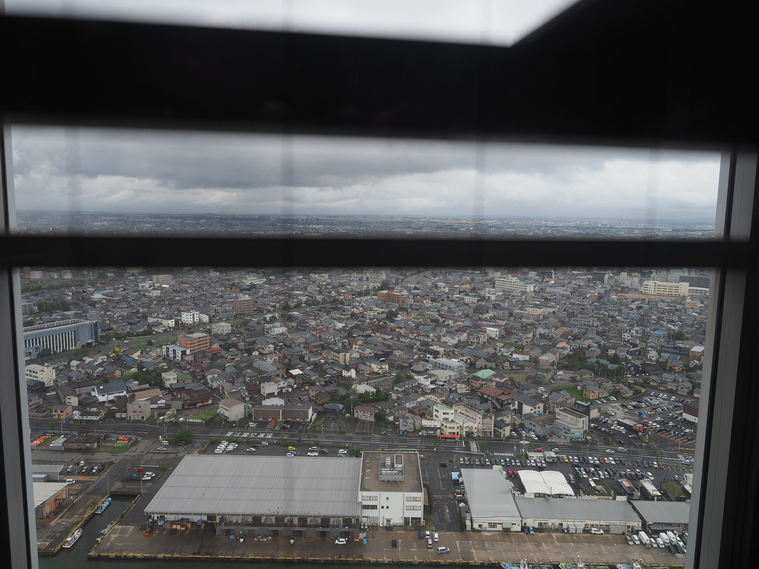 P9170462.jpg