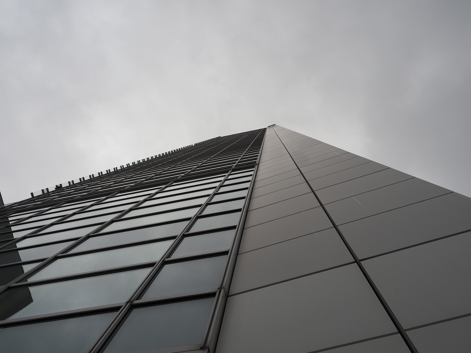 P9170470.jpg