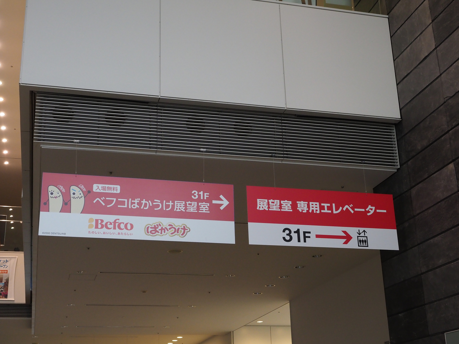 P9170474.jpg
