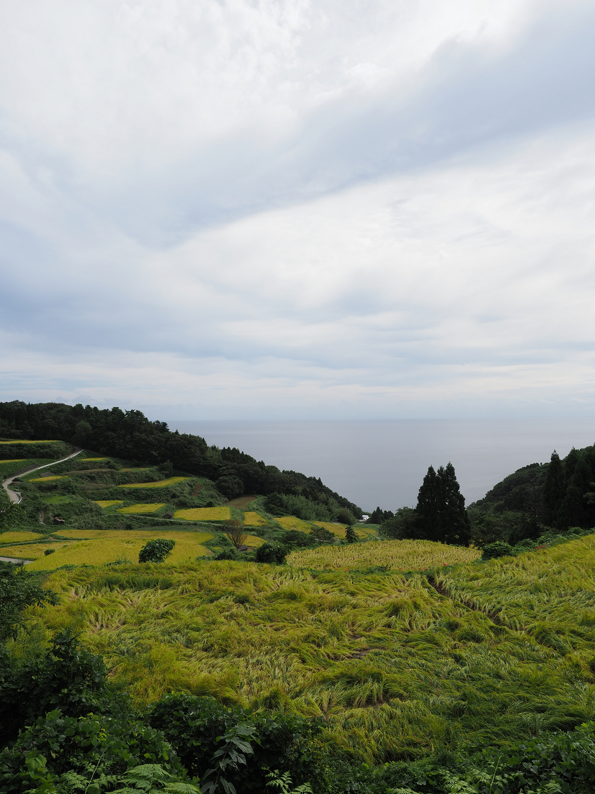 P9180730.jpg
