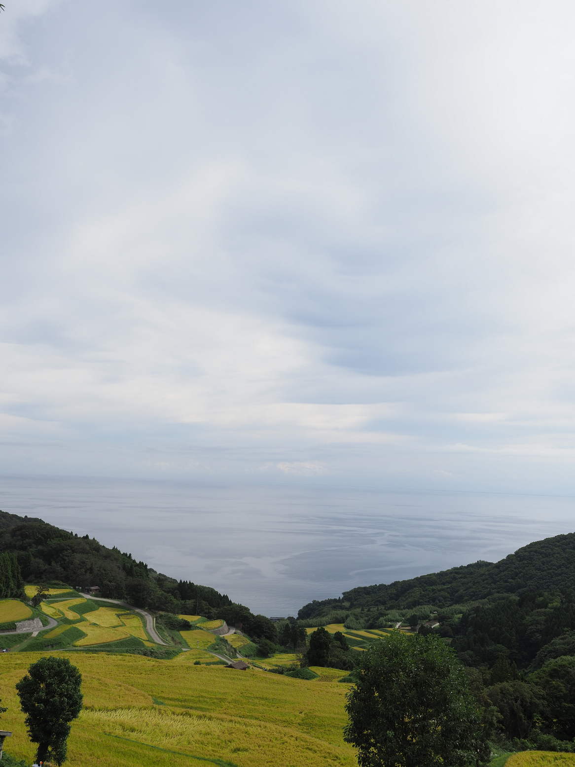 P9180737.jpg