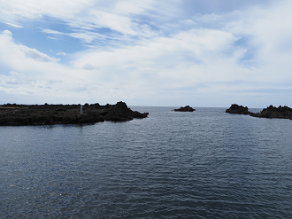 P9180757_thumb.png