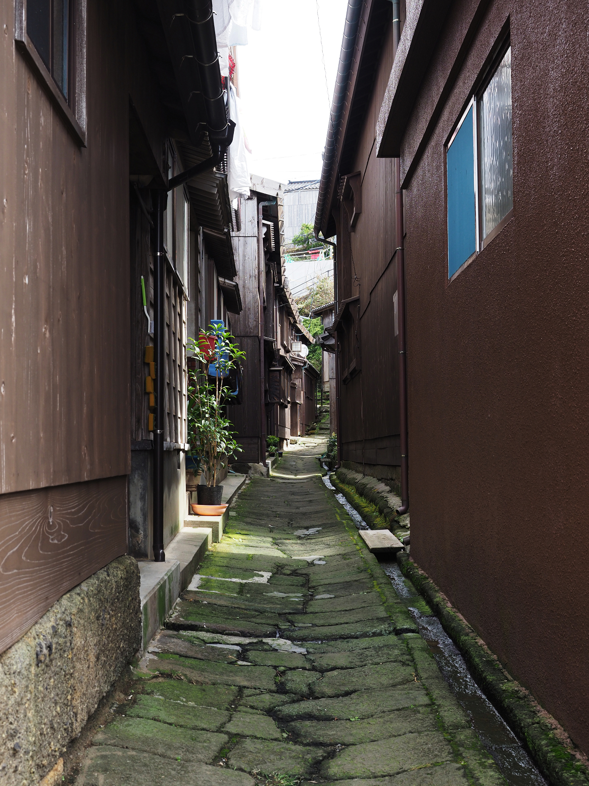 P9180770.jpg
