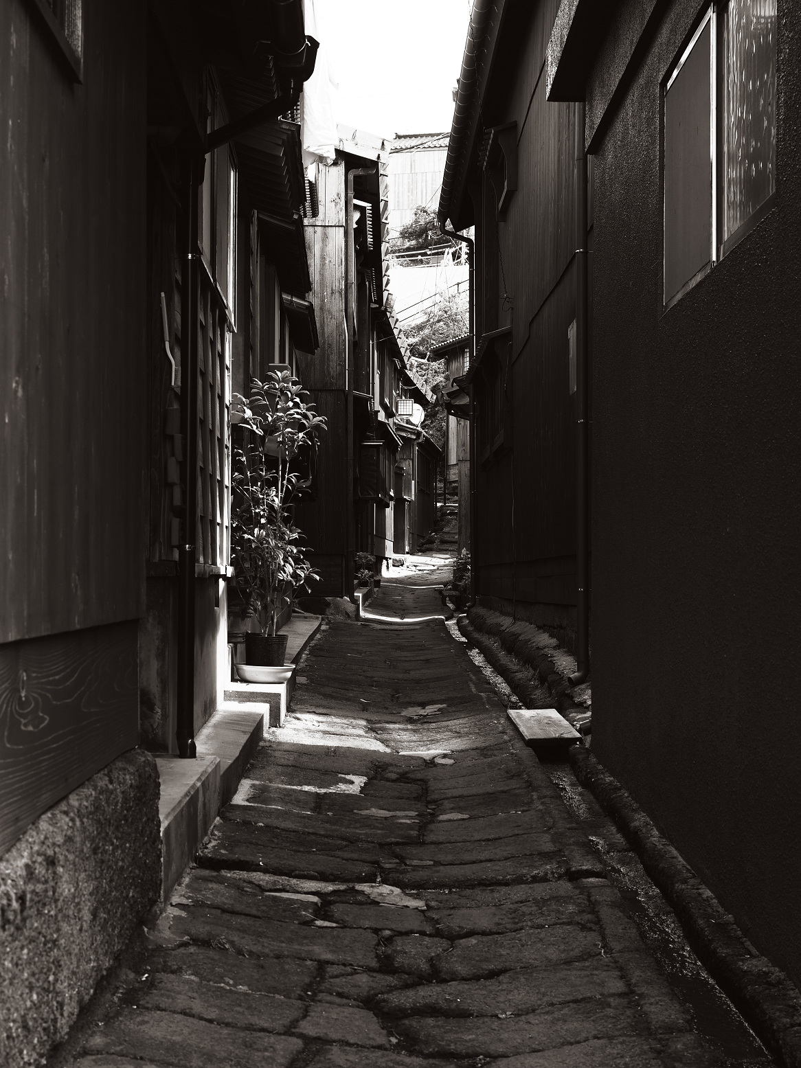 P9180771.jpg