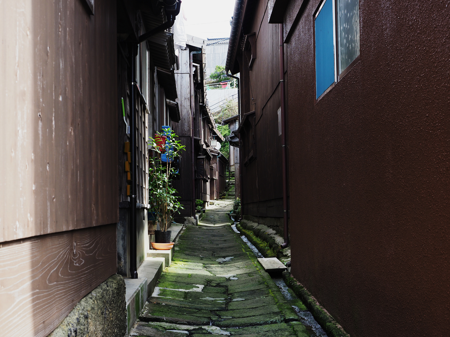 P9180772.jpg