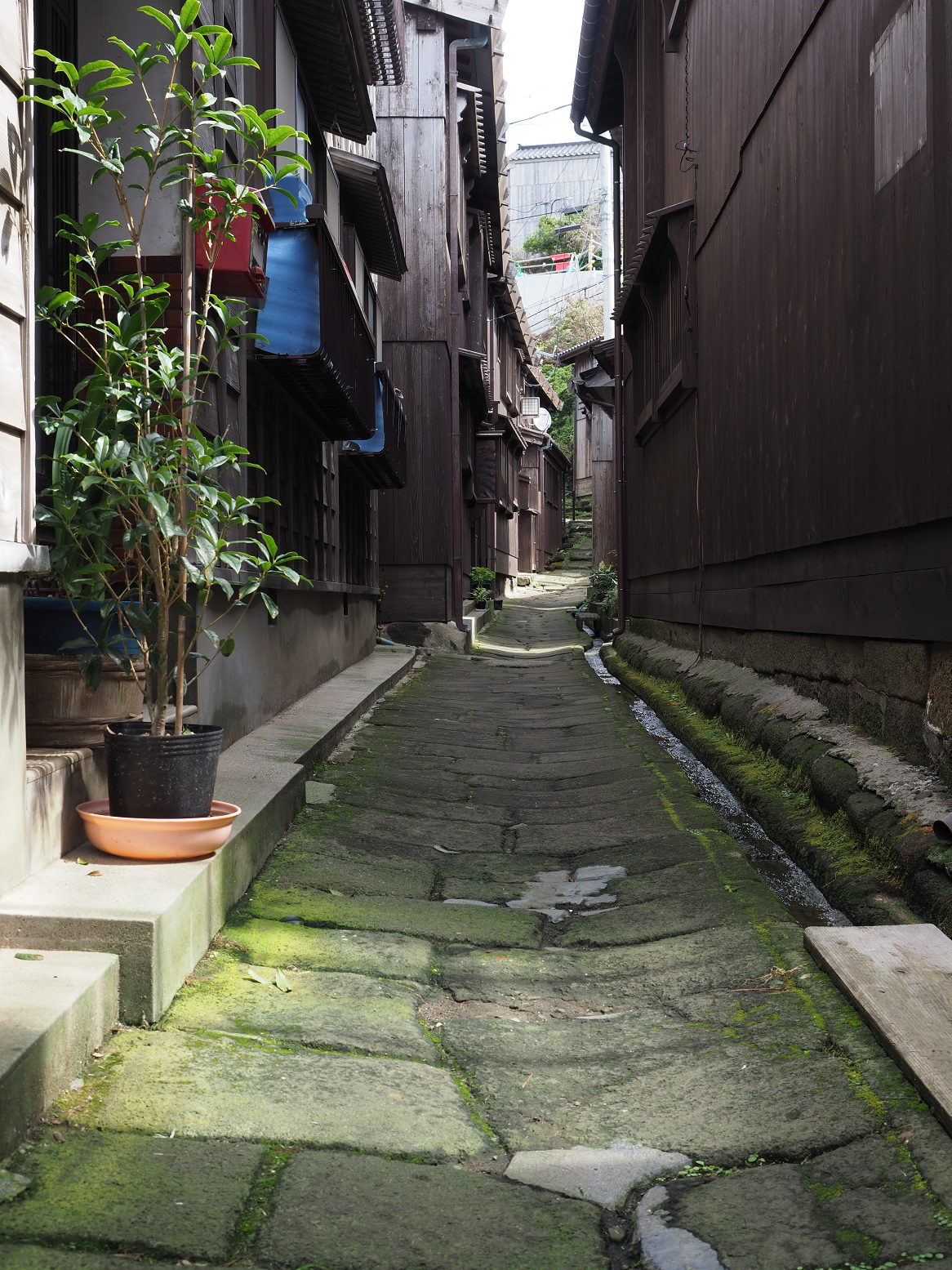 P9180773.jpg