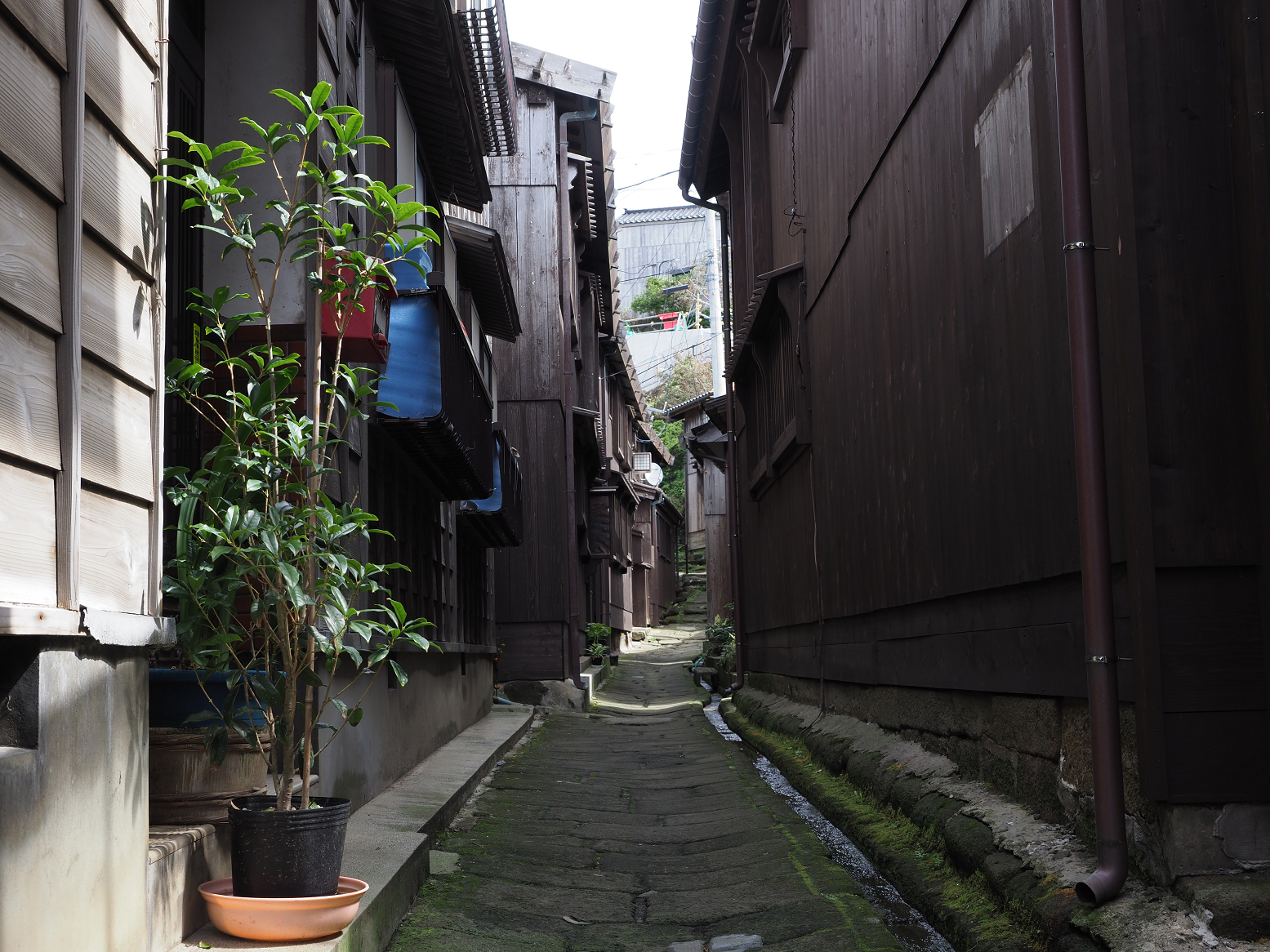 P9180774.jpg