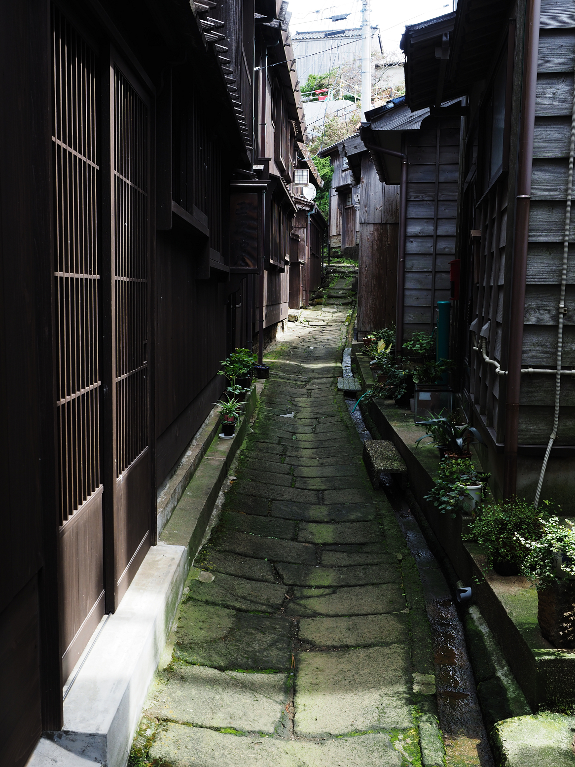 P9180776.jpg