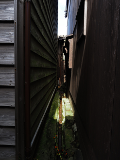 P9180777_thumb.png