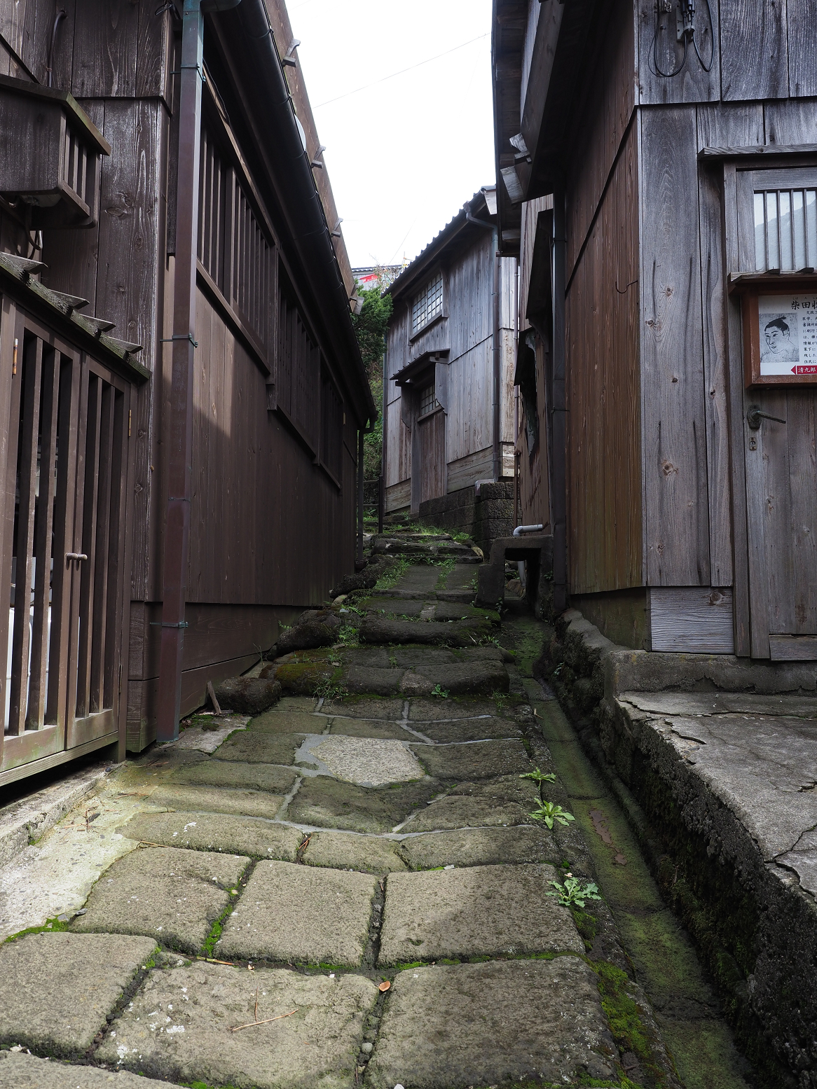 P9180784.jpg