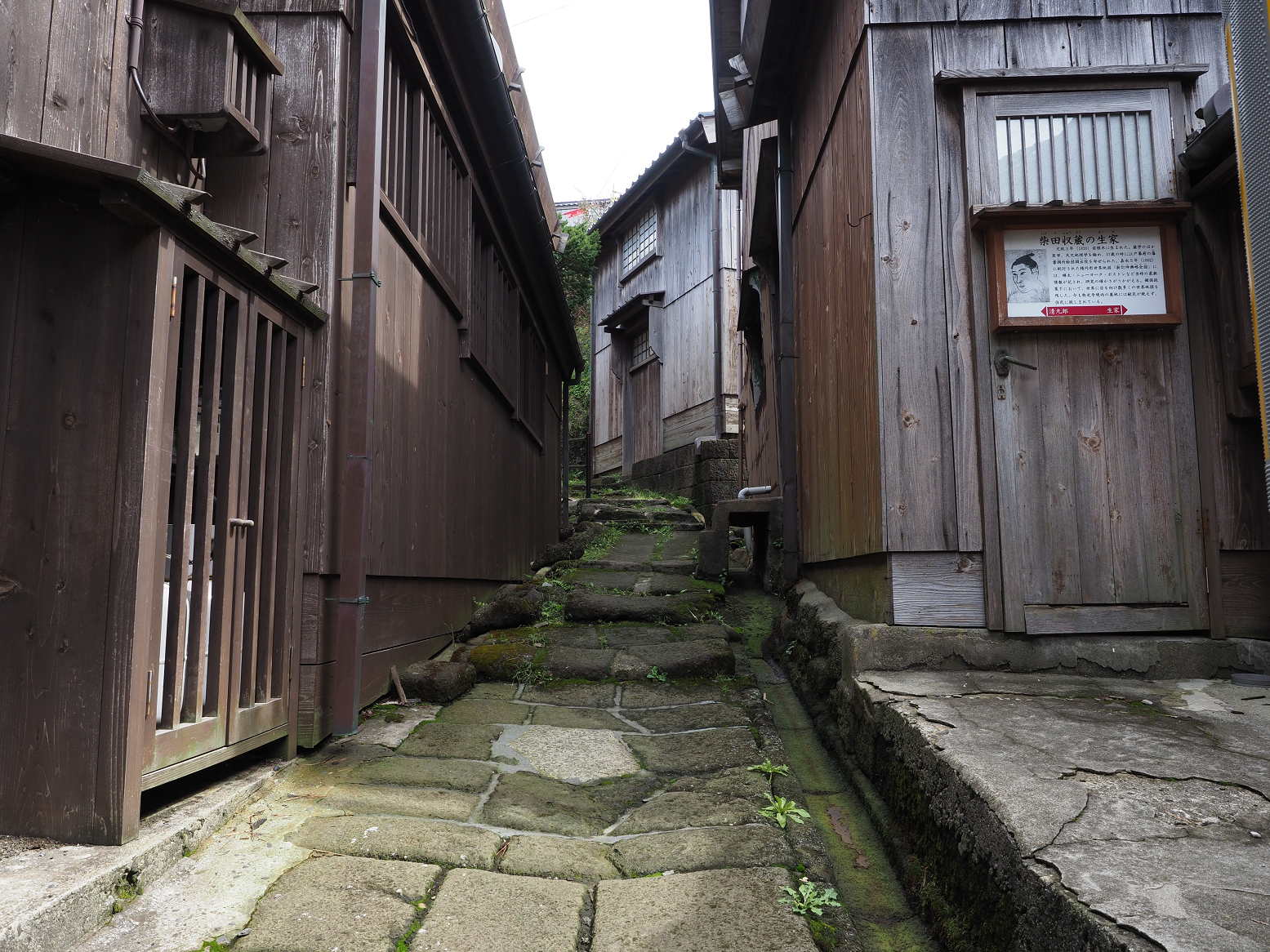 P9180785.jpg