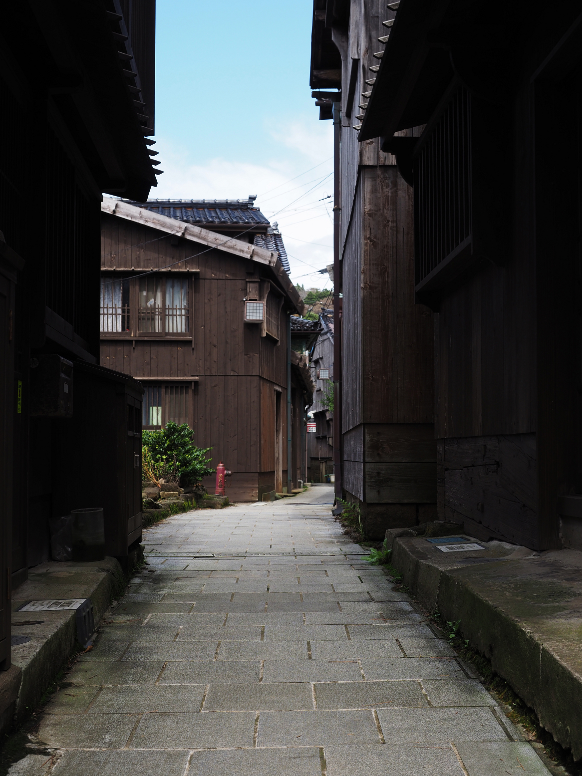 P9180792.jpg