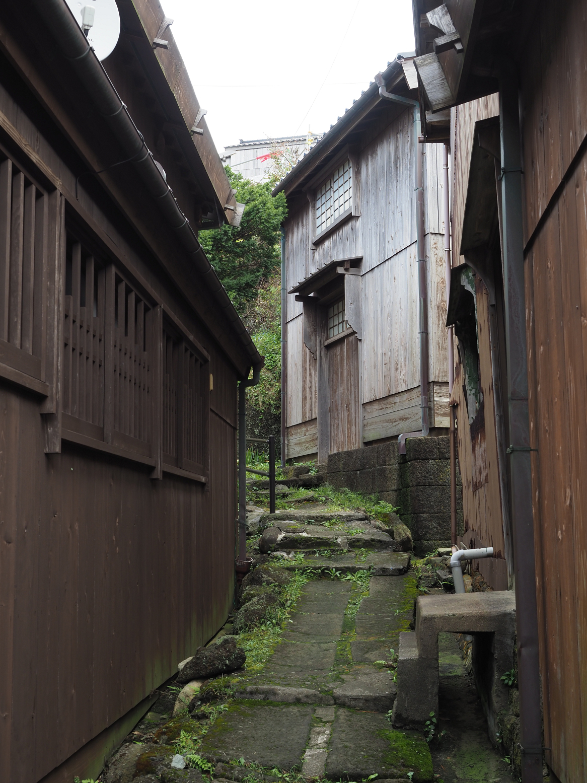 P9180794.jpg