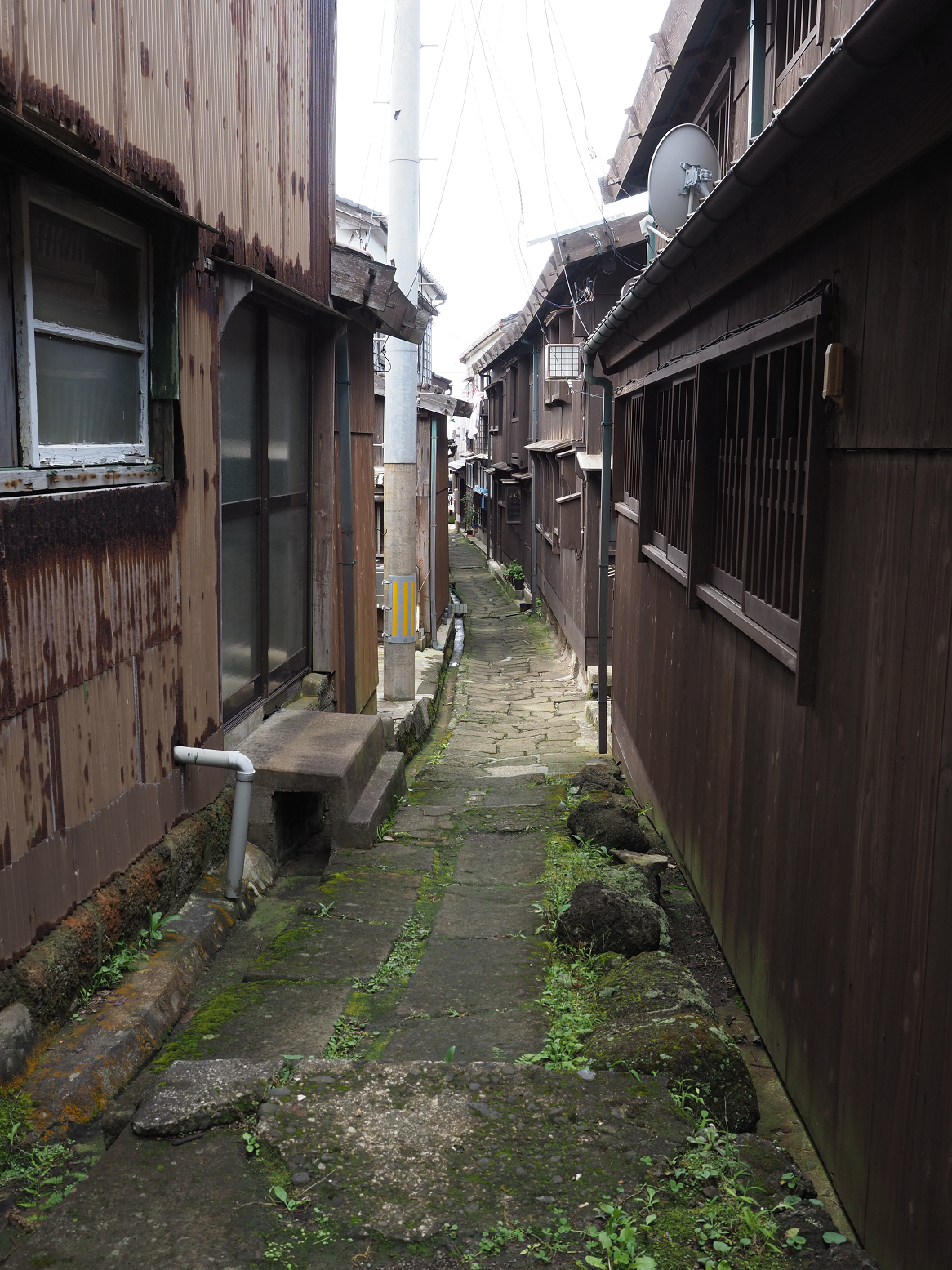 P9180797.jpg