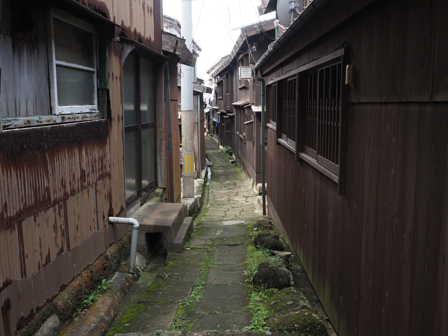 P9180800.jpg