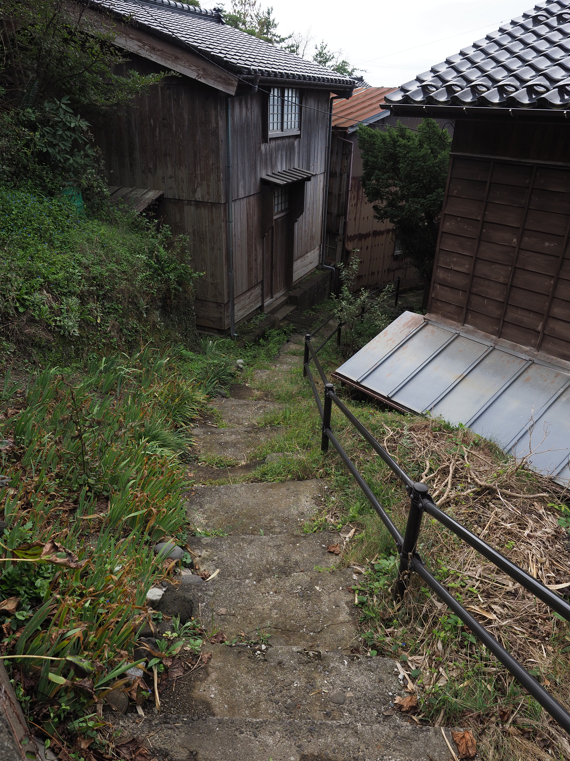 P9180807.jpg