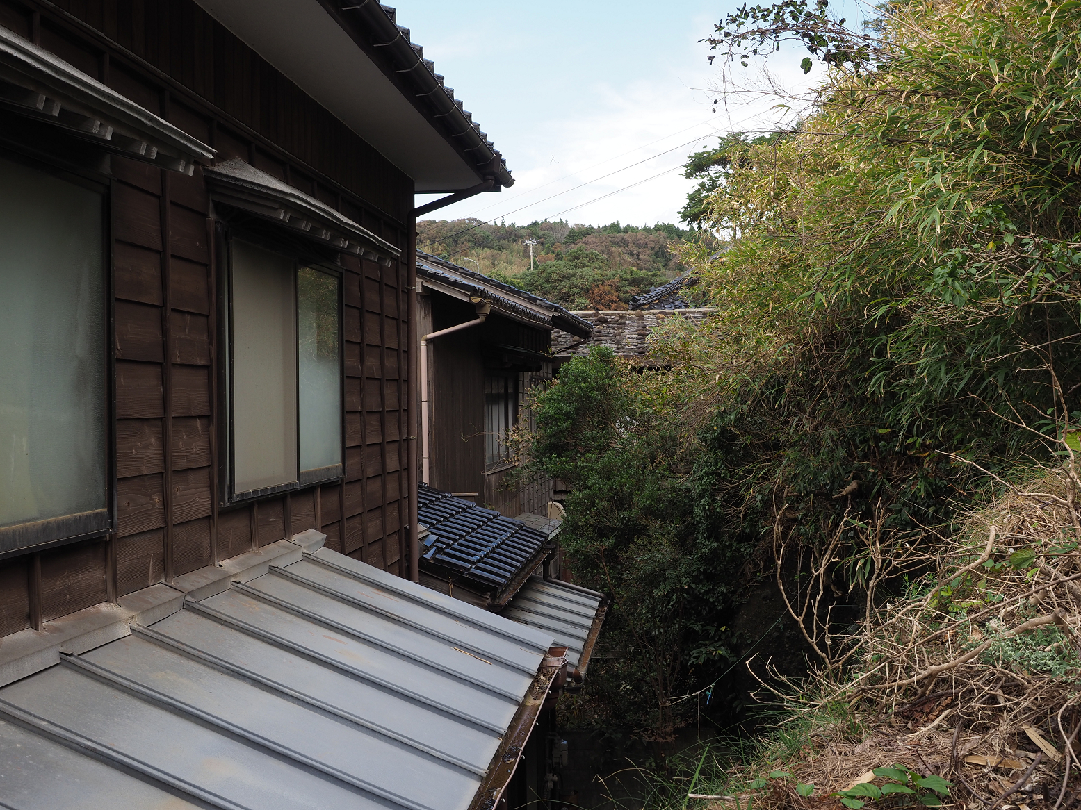P9180810.jpg