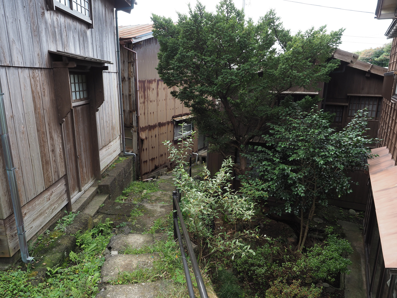 P9180811.jpg