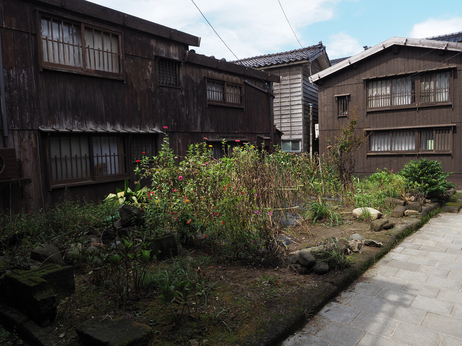 P9180815.jpg