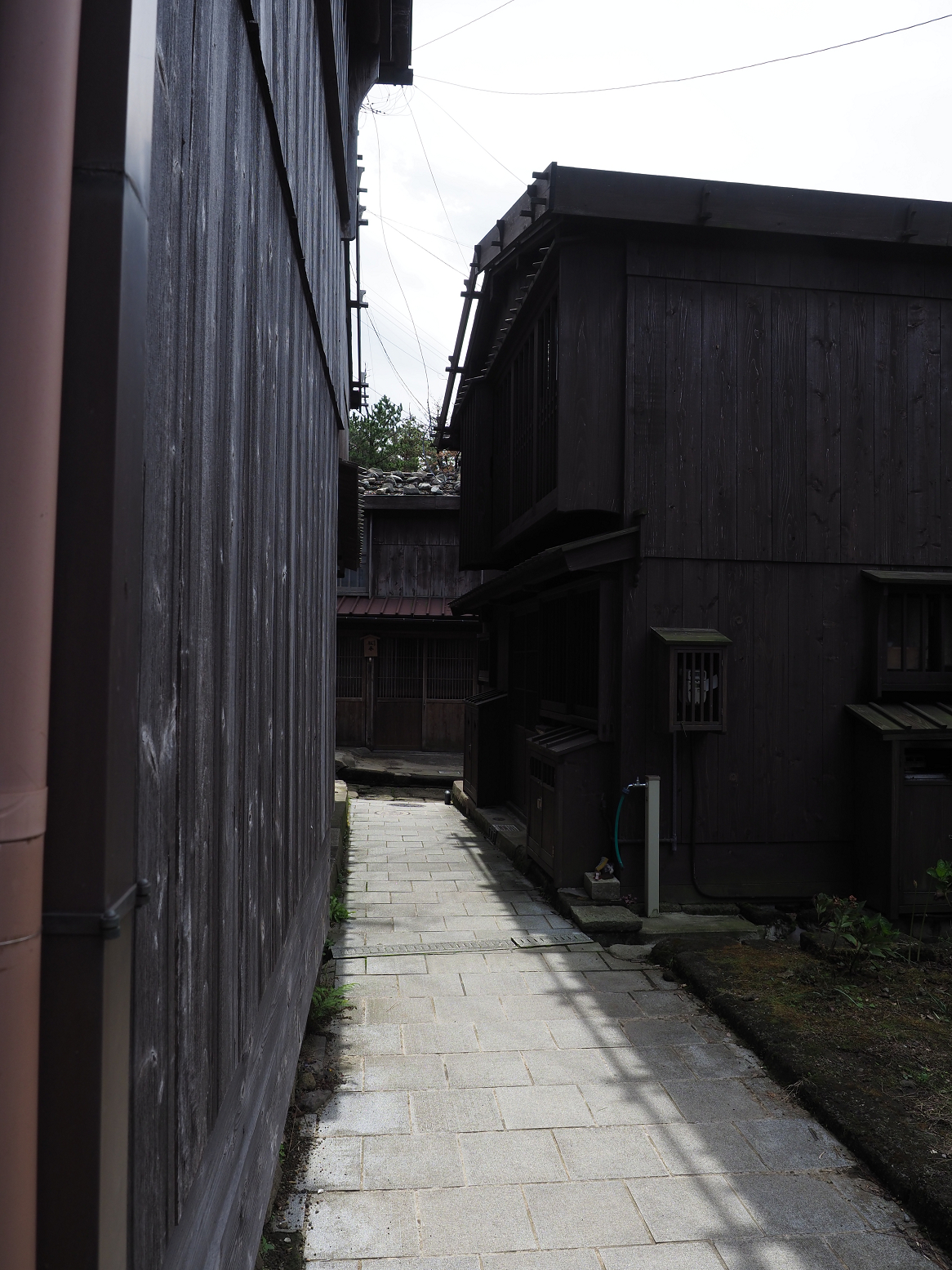 P9180816.jpg