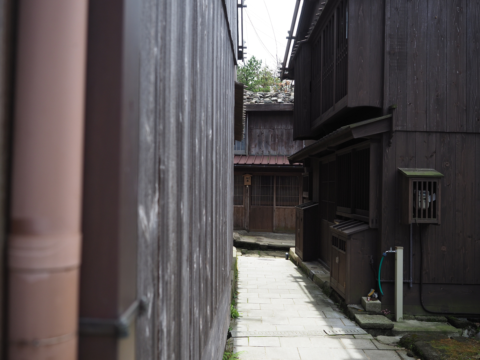 P9180820.jpg