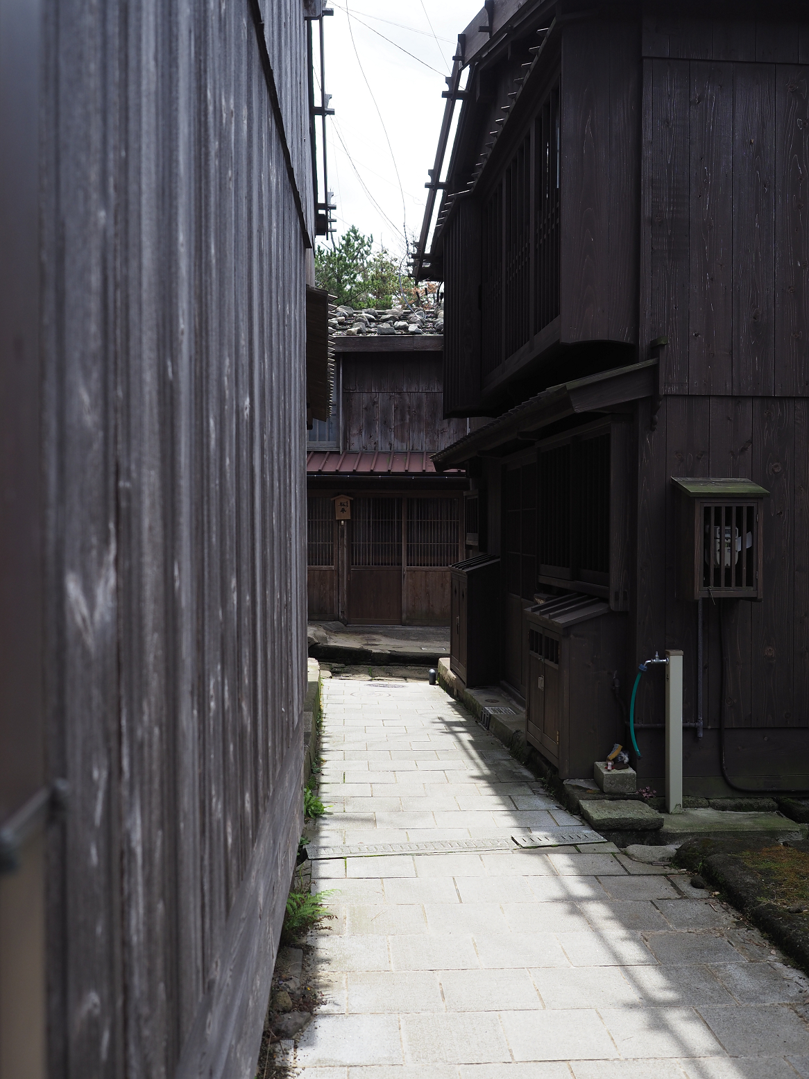 P9180821.jpg