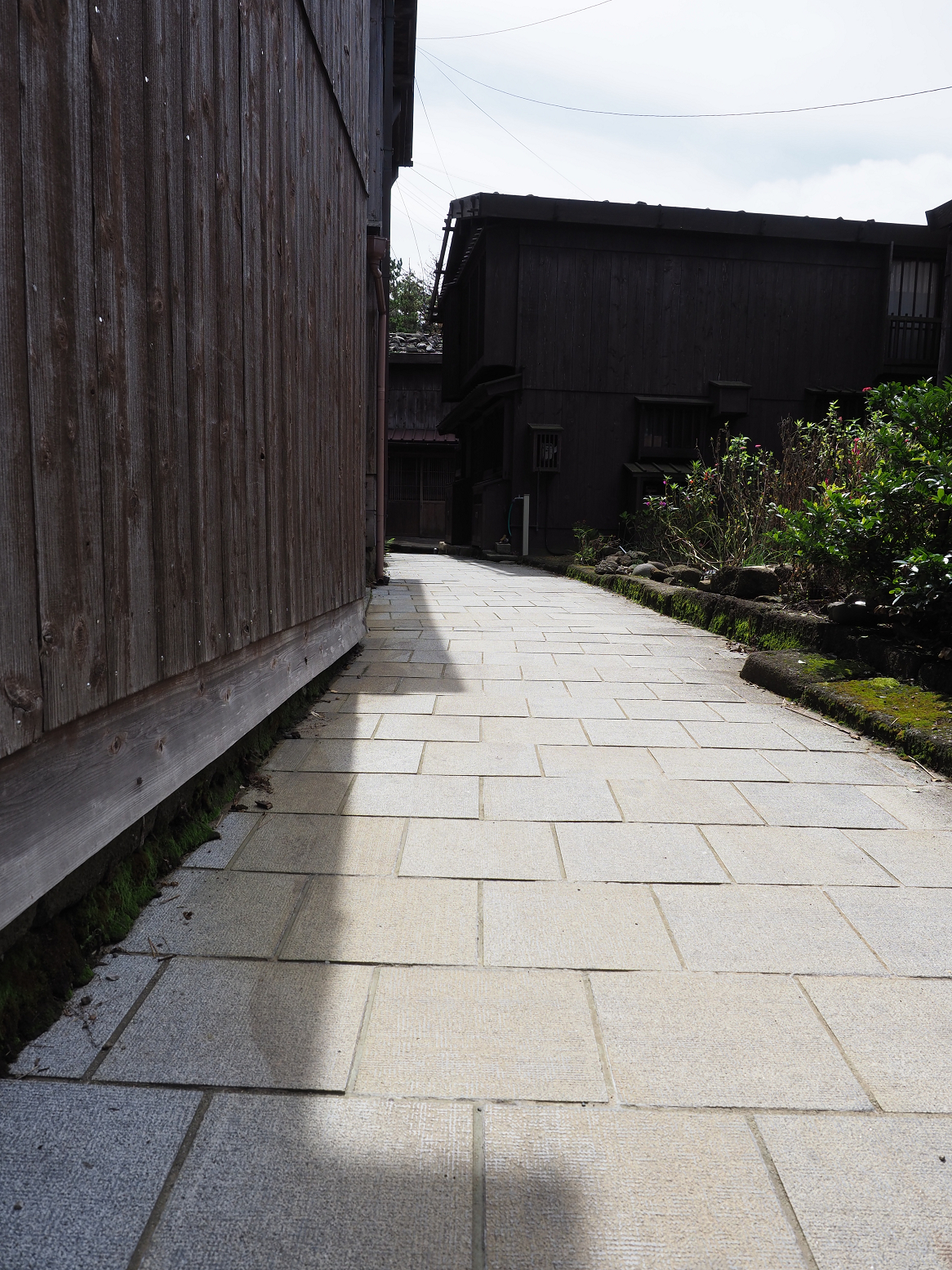 P9180826.jpg