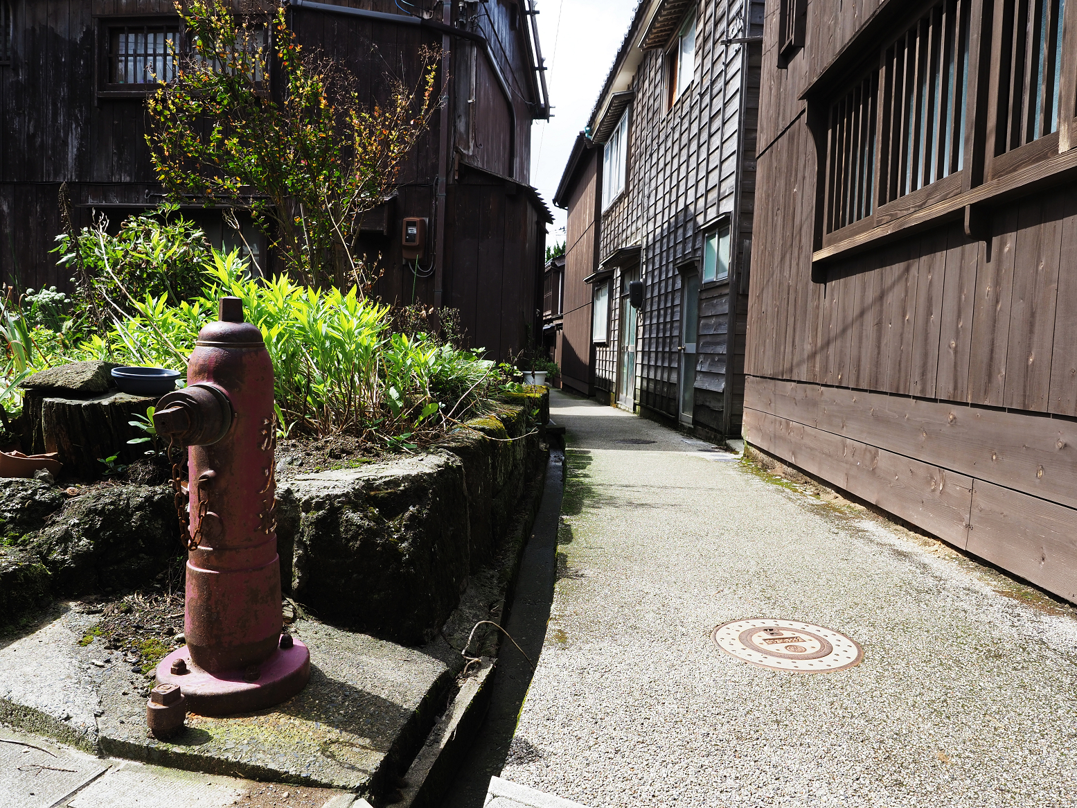 P9180827.jpg