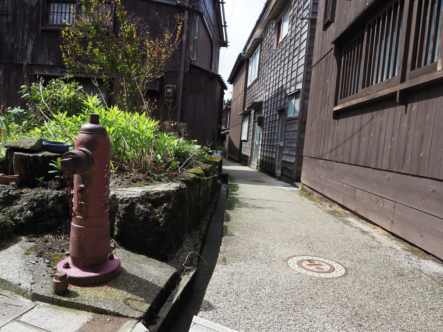 P9180828.jpg