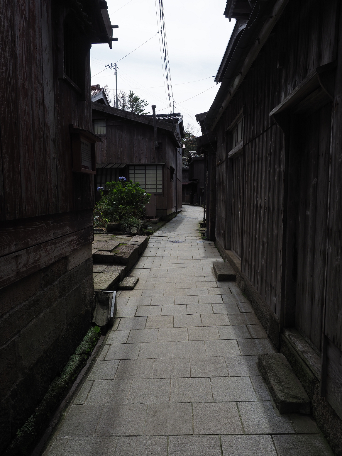 P9180846.jpg