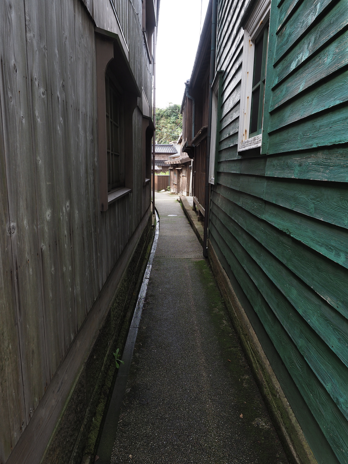 P9180847.jpg