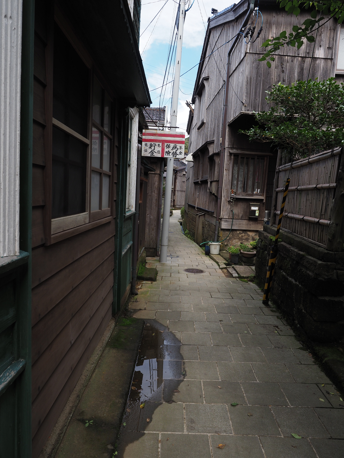 P9180850.jpg