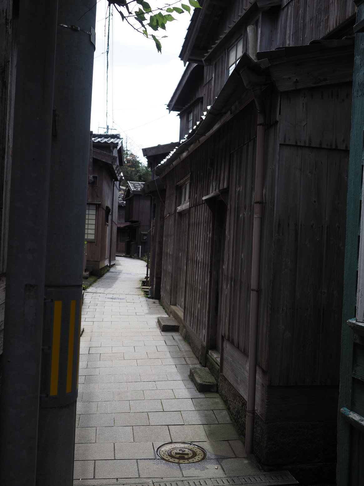 P9180853.jpg