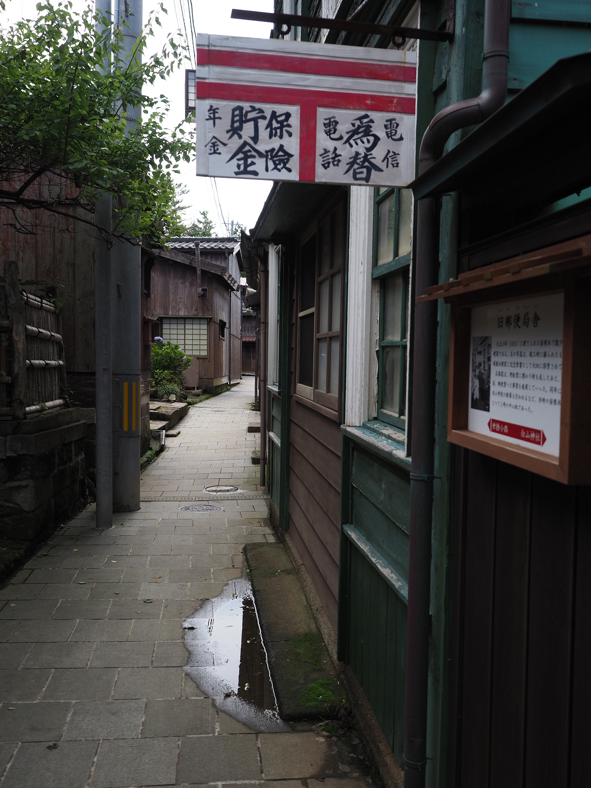 P9180856.jpg