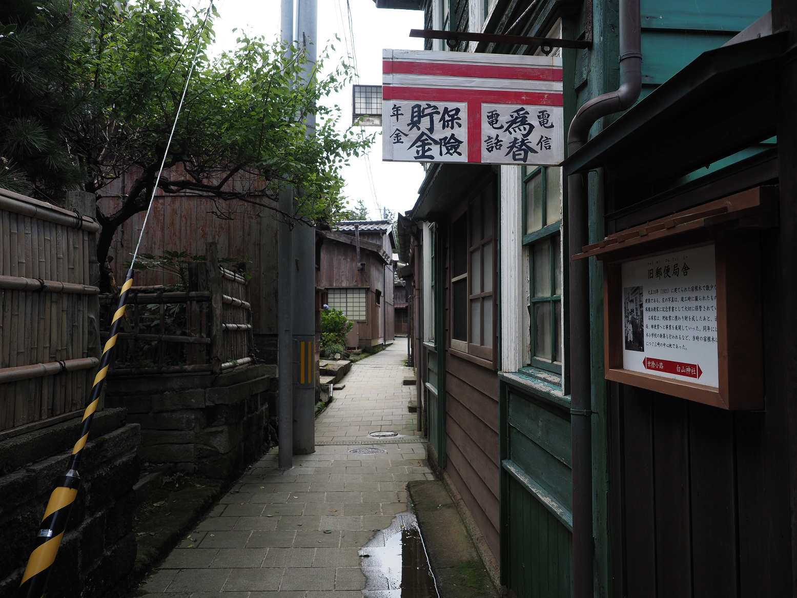 P9180857.jpg