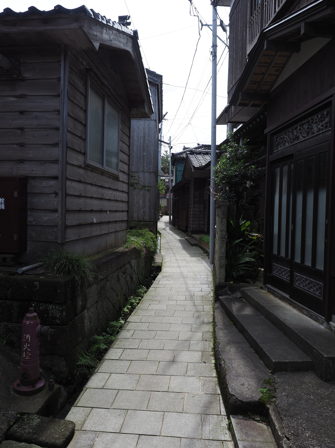 P9180863.jpg