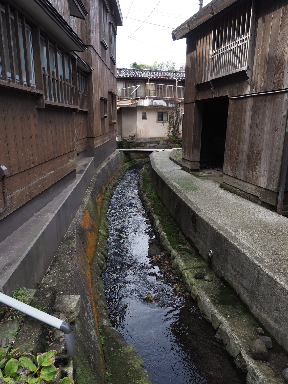 P9180864.jpg