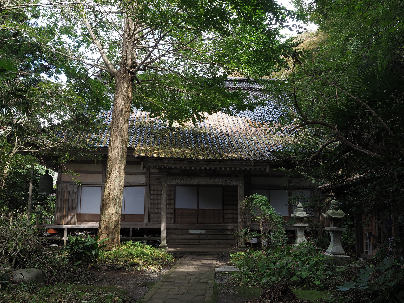P9180878.jpg