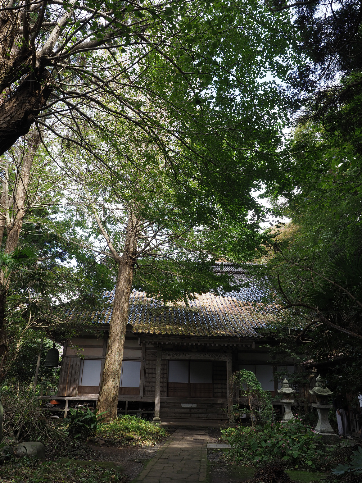 P9180880.jpg