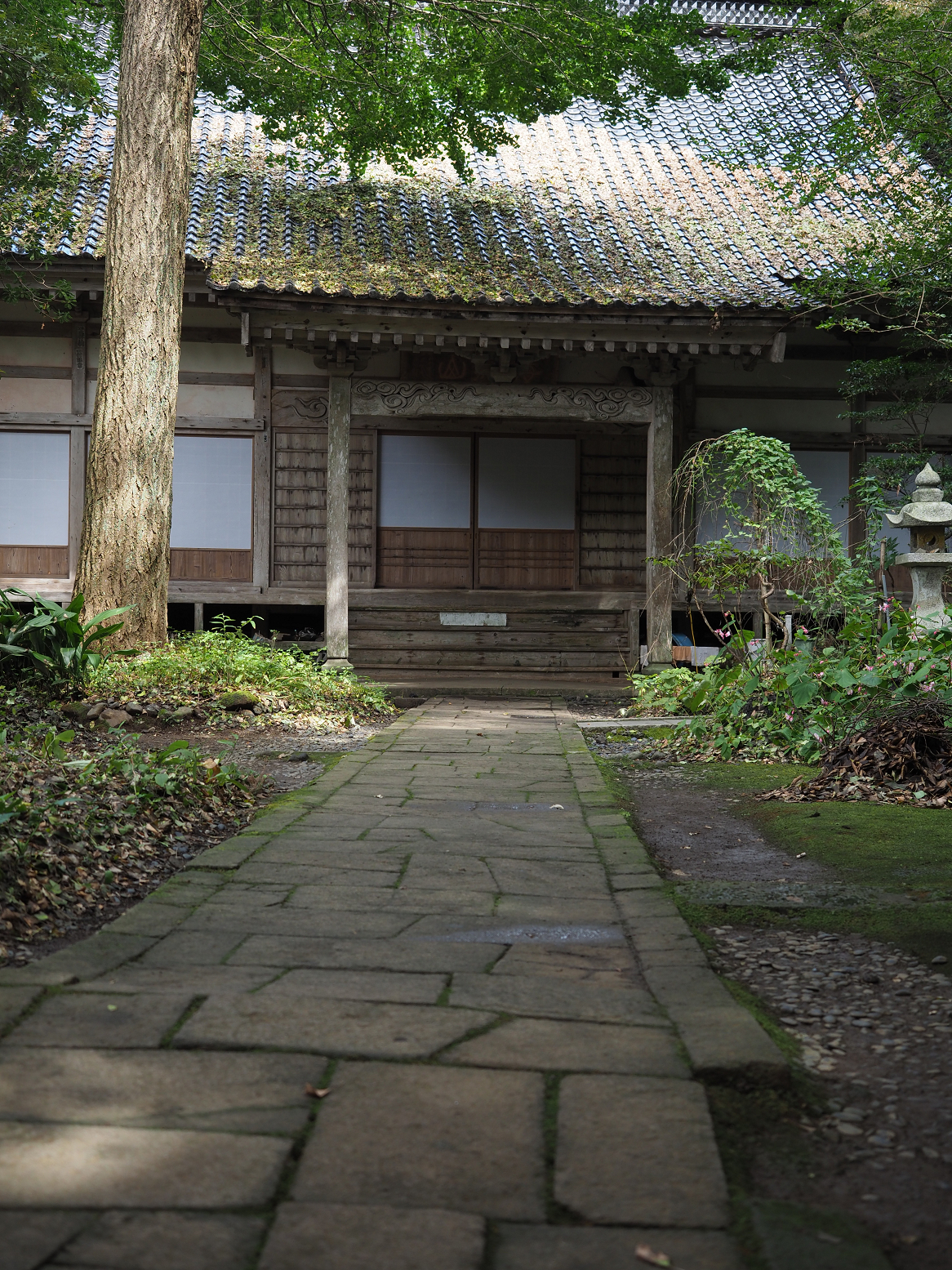 P9180881.jpg