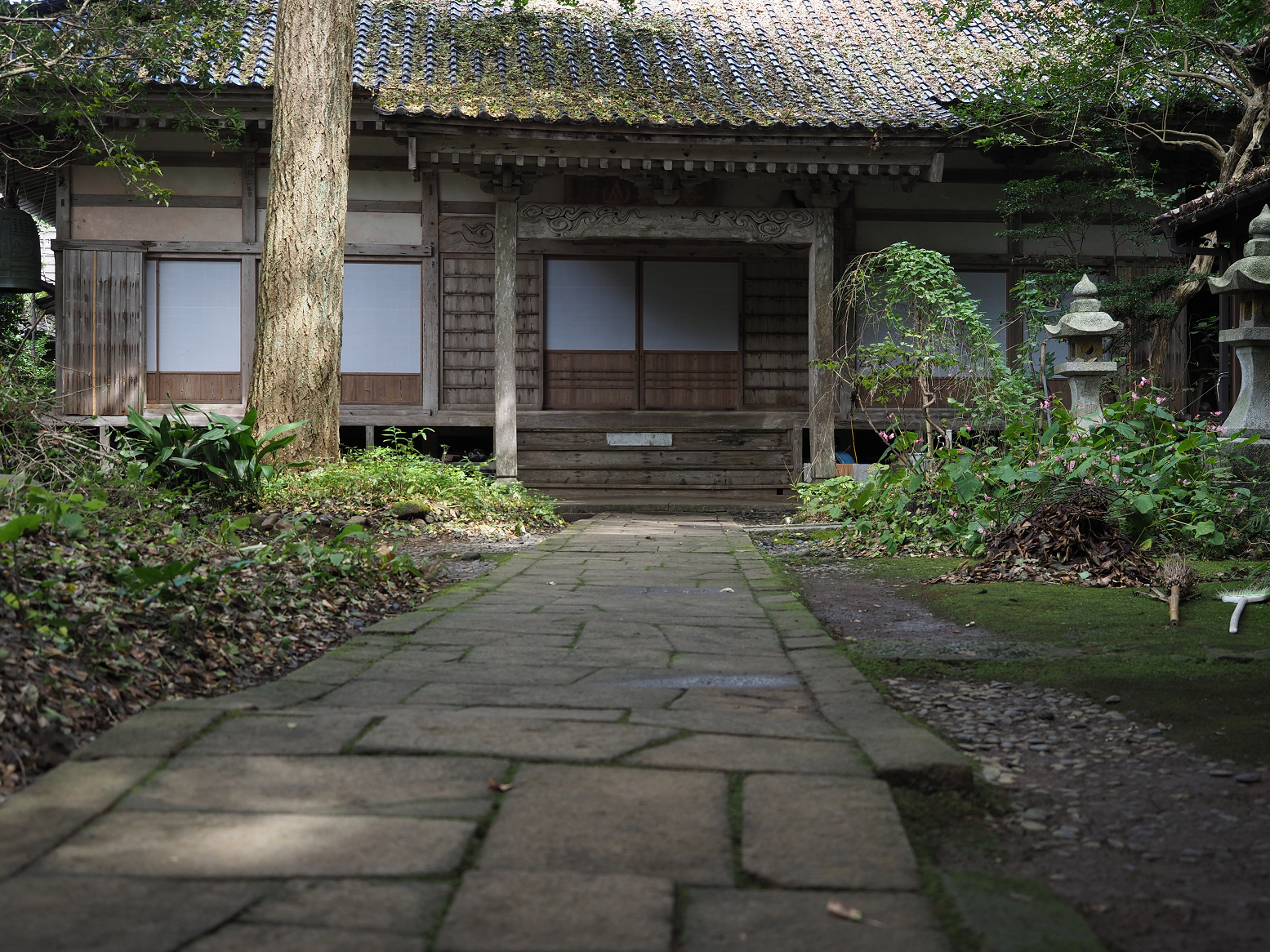 P9180882.jpg