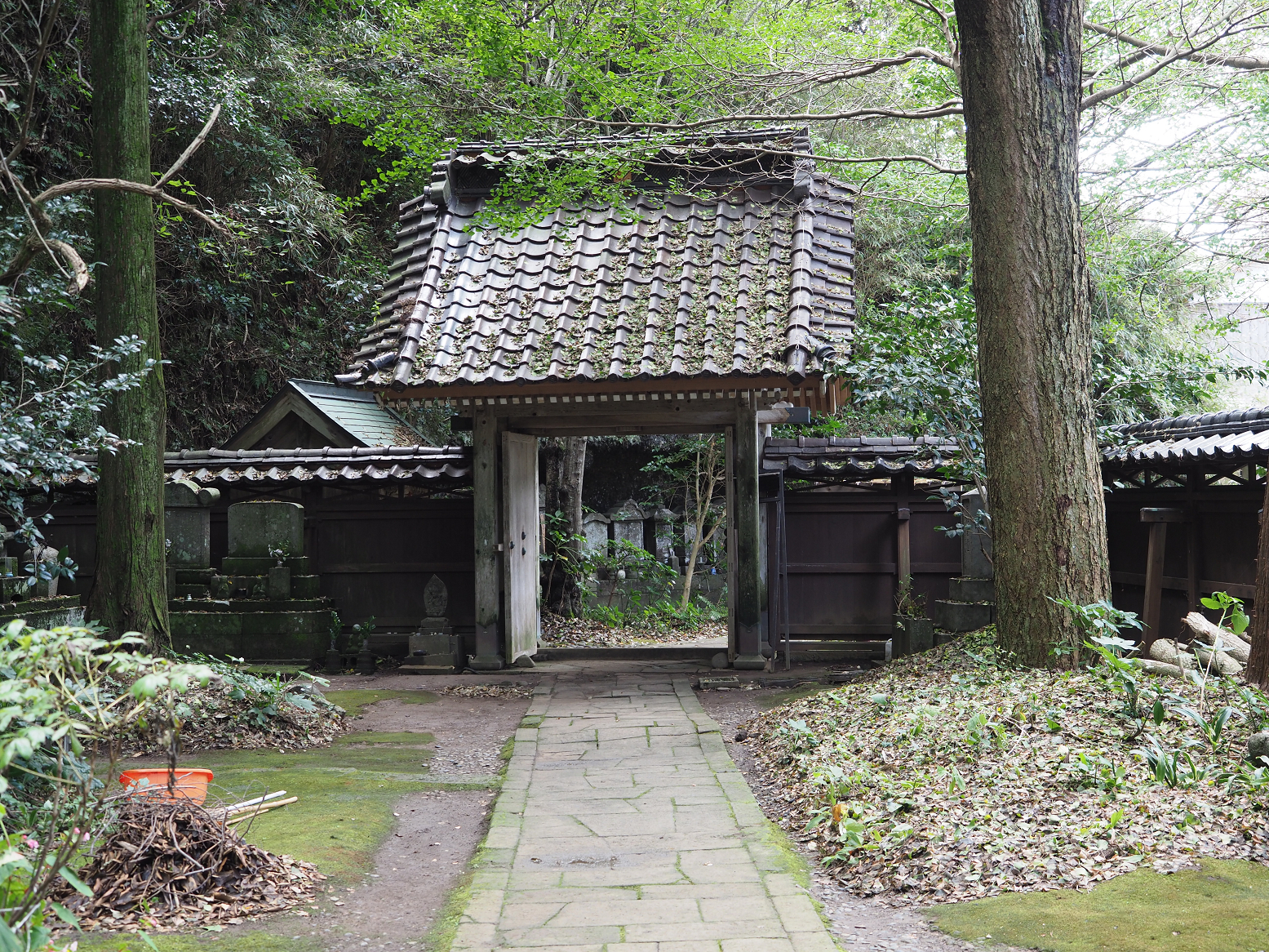 P9180887.jpg