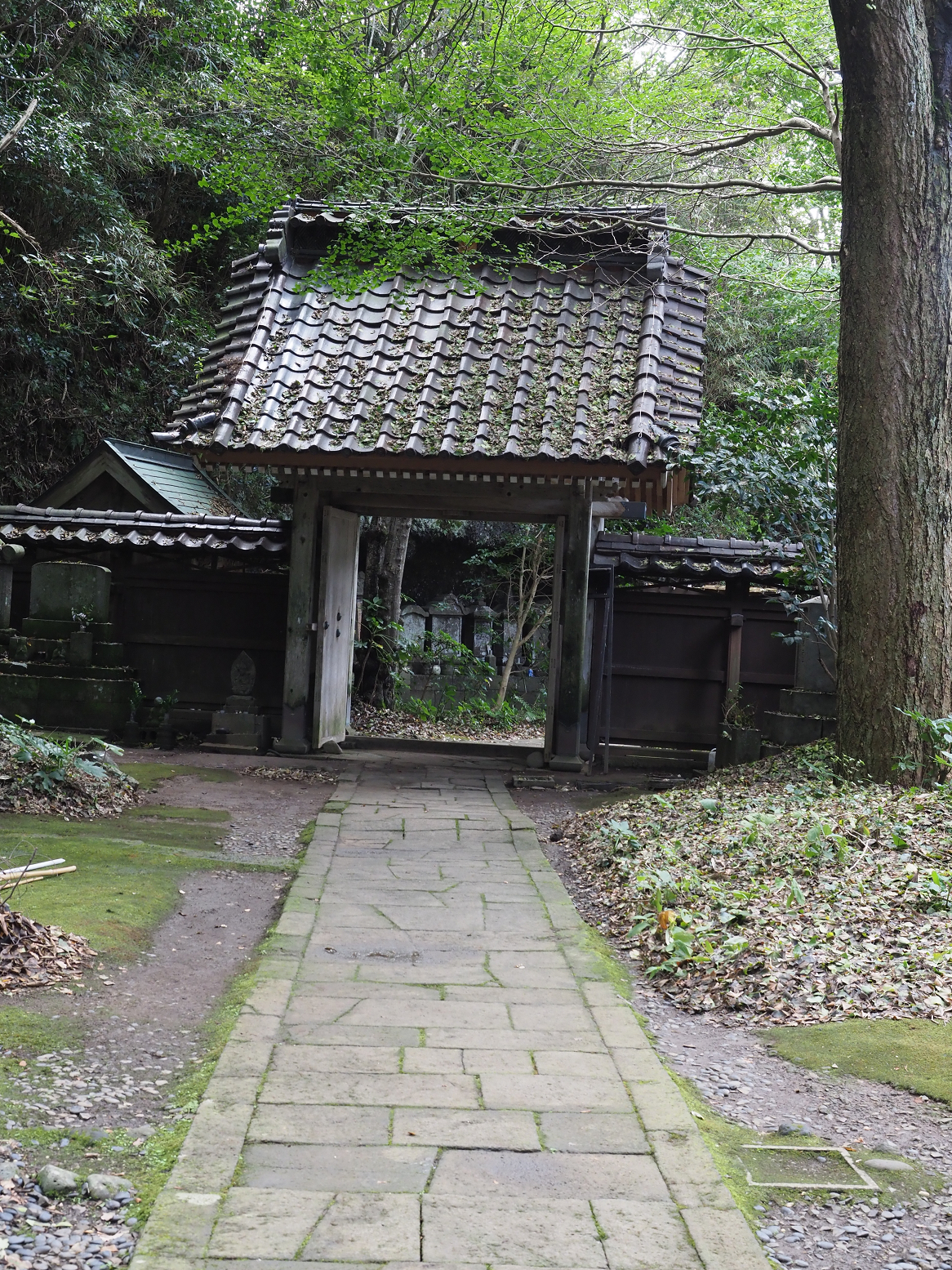 P9180889.jpg