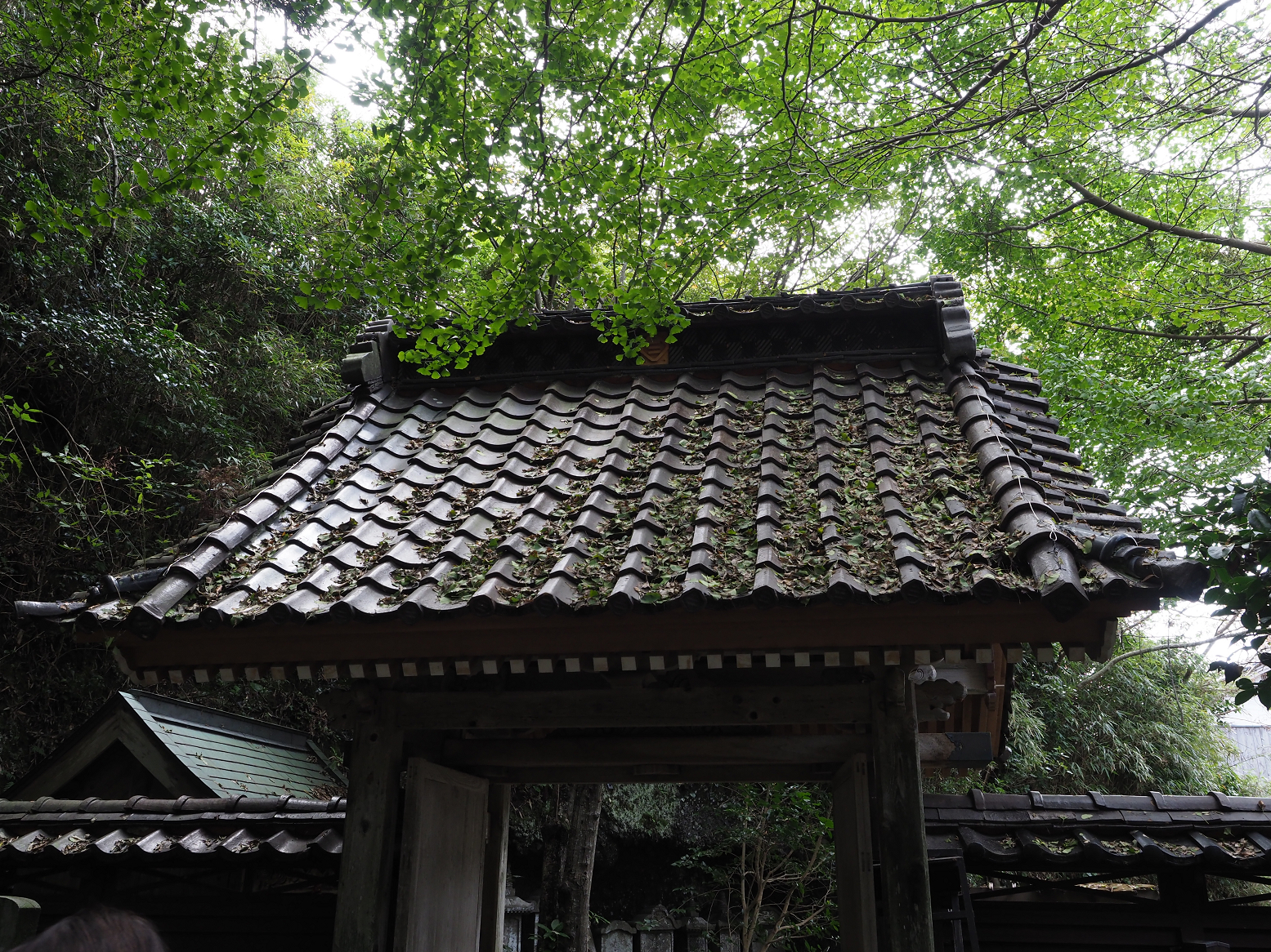 P9180892.jpg