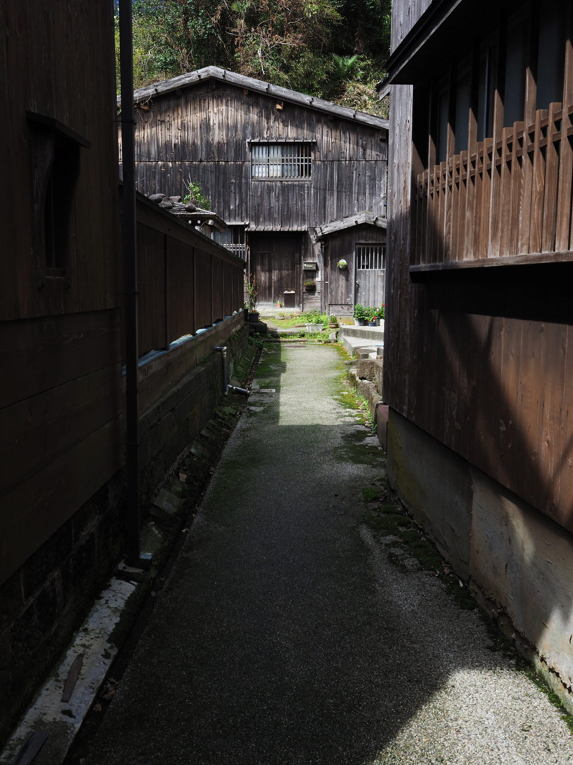 P9180916.jpg