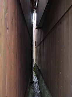 P9180919_thumb.png