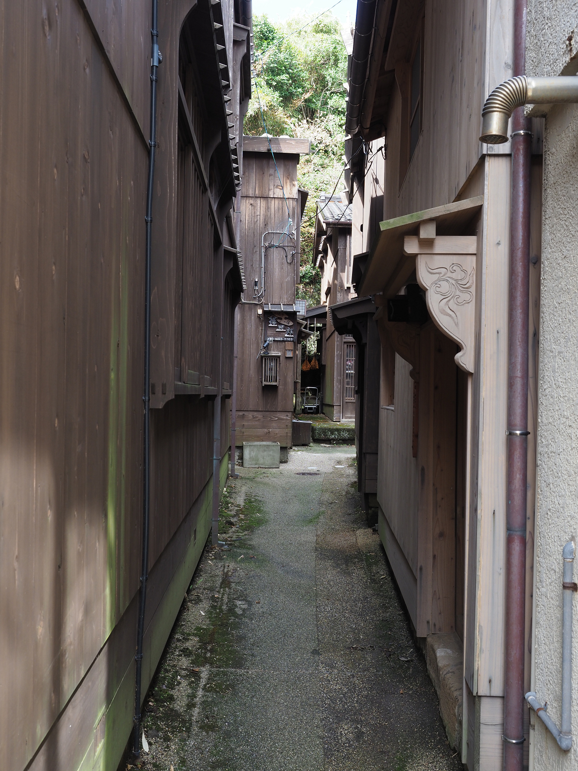 P9180931.jpg