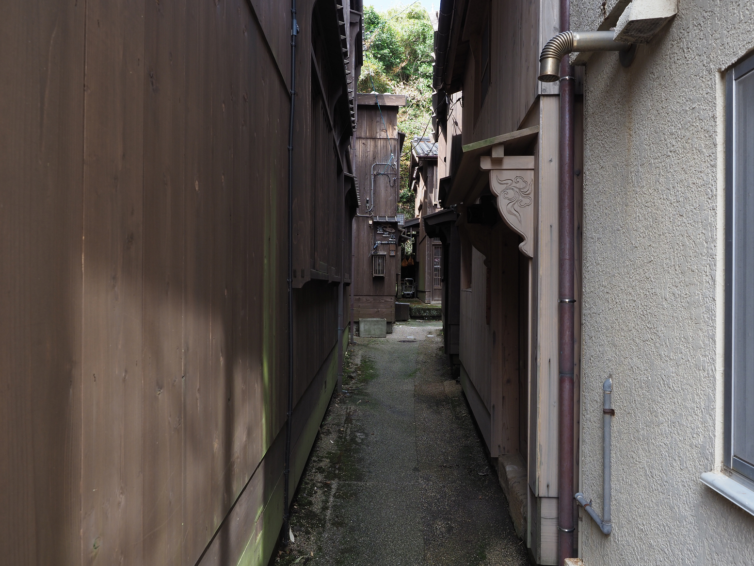 P9180933.jpg